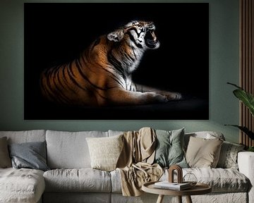 Tiger Portrait, Santiago Pascual Buye von 1x