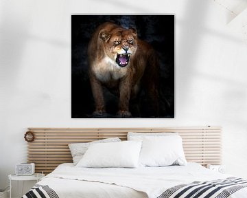 Lion portrait, Santiago Pascual Buye van 1x