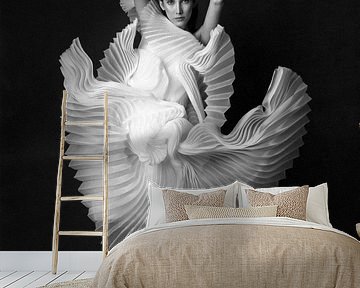 Swan Lake by Peyman Naderi