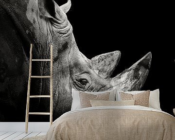 Rhino by Christian Meermann