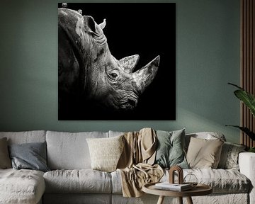 Rhino, Christian Meermann by 1x