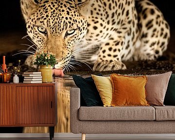 alleenstaande moeder van Amnon Eichelberg