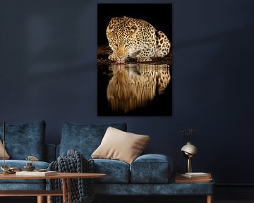 alleenstaande moeder van Amnon Eichelberg