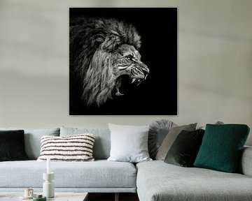 Roaring Lion # 2, Christian Meermann von 1x