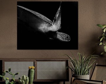 Portret van een zeeschildpad in zwart-wit (II), Robin Wechsler van 1x