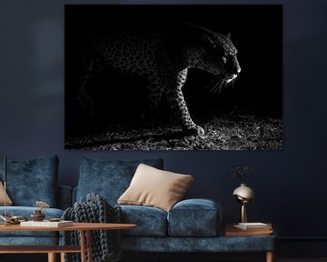 Leopard night hunt, Hannes Bertsch by 1x