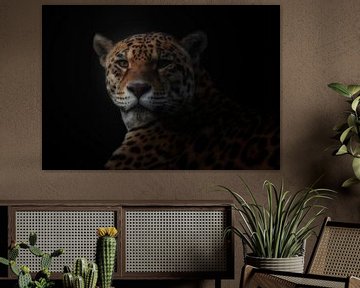 jaguar, KaMerA  van 1x