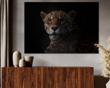 jaguar, KaMerA  by 1x