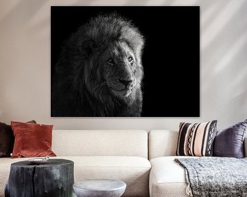 Portrait von Simba, James Cai von 1x