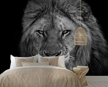 The King by Sayyed Nayyer Reza