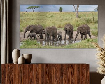 Olifanten drinken uit poel in Afrika van Robin Jongerden
