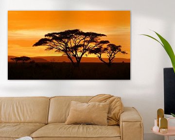 Zonsondergang in Afrika op de savanne in Tanzania van Robin Jongerden