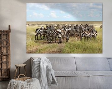 Groep zebra's op de savanne in Afrika van Robin Jongerden