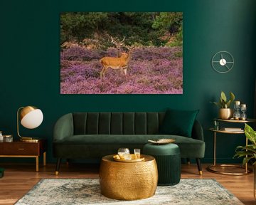 Jonge Edelherten op de Veluwe van Merijn Loch