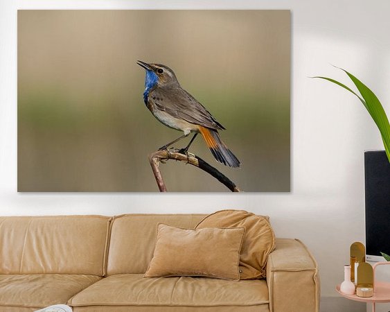 Aperçu de la chambre