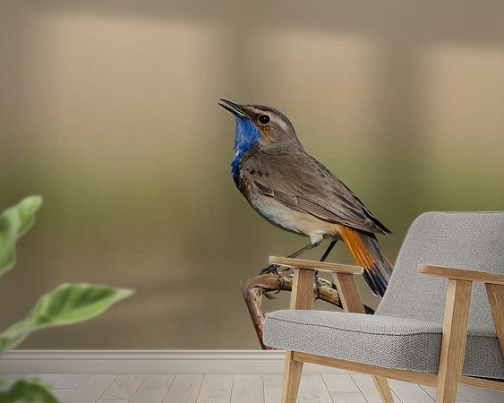 Aperçu de la chambre