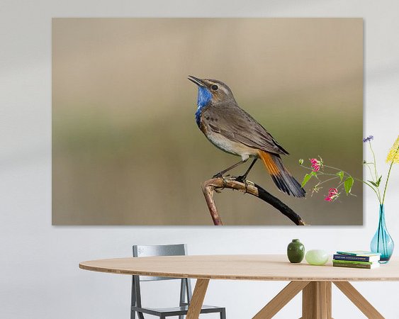 Aperçu de la chambre