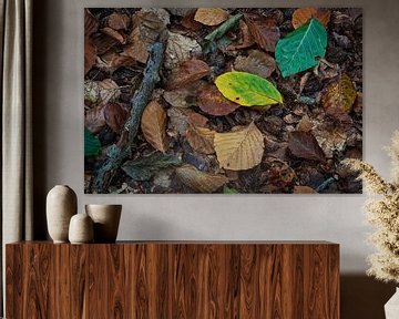 Speulderbos, Gelderland, Netherlands October 23, 2019 : Autumn leaves in the forest by Anges van der Logt