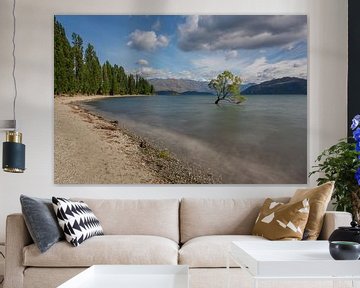 Wanaka, New Zealand - January 12, 2020 : The famous Wanaka tree in Lake Wanaka in New Zealand by Anges van der Logt