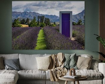 Wanaka Lavendelfarm, Wanaka, Neuseeland - 12. Januar 2020 : Die violette Tür auf der Lavendelfarm in von Anges van der Logt