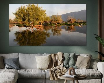 Reflet des arbres dans les eaux calmes du lac de Kerkini, Grèce du Nord sur Rini Kools