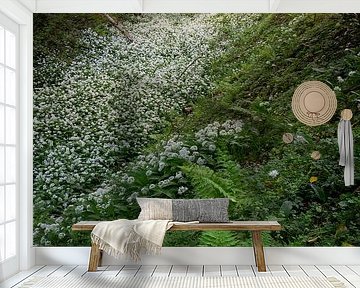 Fields full of wild Garlic in the beautiful forests of South Limburg by Jos Pannekoek