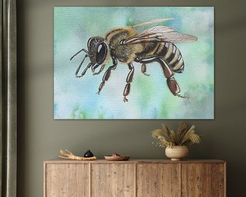 Honigbiene von Jasper de Ruiter