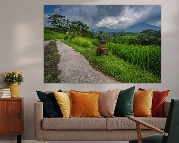 Small dirt road through the rice fields of Jatiluwih on Bali, Indonesia by Anges van der Logt