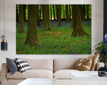 Waldhyazinthen in einem Wald in England von Anges van der Logt