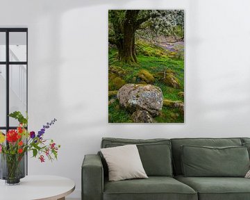 Verschillende wilde bloemen in het bos bij Buttermere, Cumbria, Engeland van Anges van der Logt