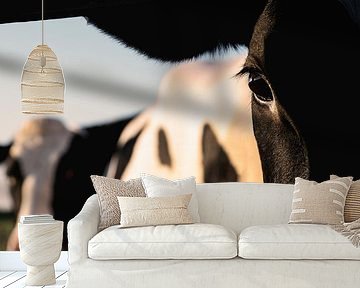 Staredown by Thom Brouwer