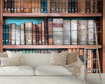 Bücherschrank mit alten Büchern. von Roman Robroek – Fotos verlassener Gebäude