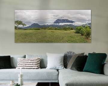 Mount Kinabalu van didier de borle