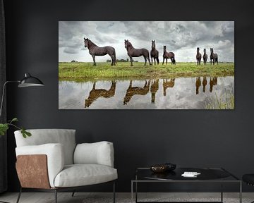 Young Friesian horses at Lemmer by Frans Lemmens