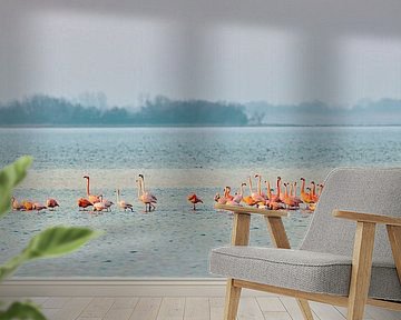 Flamingos in Lake Grevelingen by Frans Lemmens