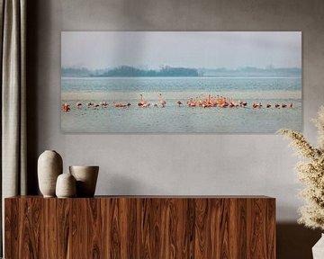 Flamingos in Lake Grevelingen by Frans Lemmens
