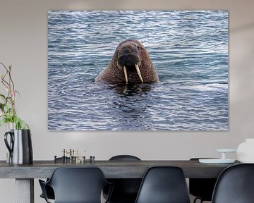 Walrus van Merijn Loch