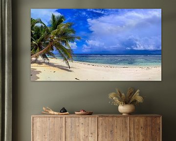 Une plage fantastique avec un palmier aux Seychelles