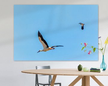 stork in flight against blue sky