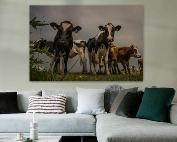 Nieuwsgierige koeien van Wolbert Erich