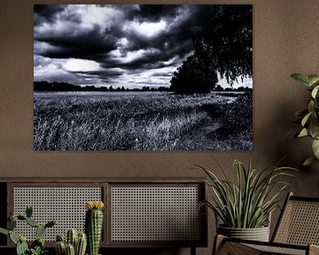 Landschaft schwarz-weißer bedrohlicher Himmel von Frank Ketelaar