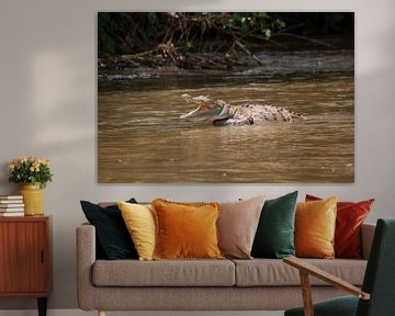 Krokodil in de rivier in Costa Rica. van Mirjam Welleweerd