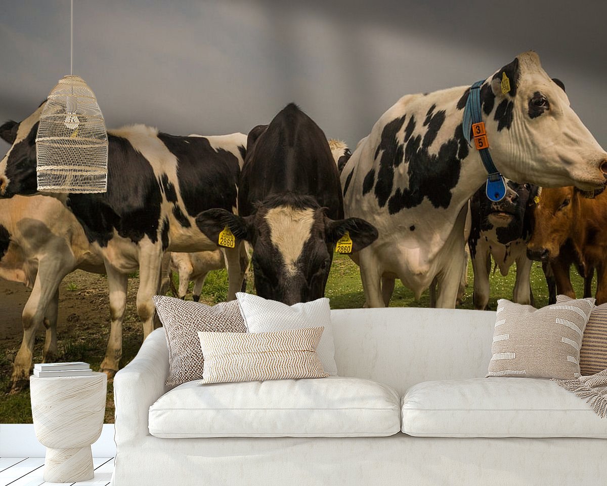 Raumvorschau