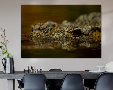 Crocodile sur FotoGraaG Hanneke