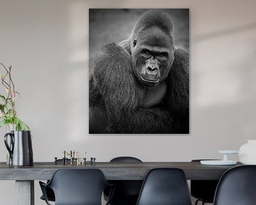 Silberrücken-Gorilla-Mann von Patrick van Bakkum