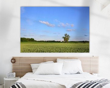 Landschap in Beieren met groene korenvelden tegen een blauwe lucht van Ulrike Leone