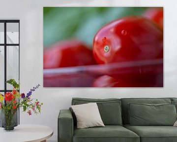 Tomaten en basilicum van Martina Weidner