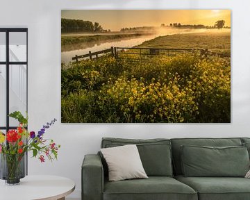 Mooie wilde gele bloemen op een grasakker in Nederland tijdens zonsopkomst van Anges van der Logt