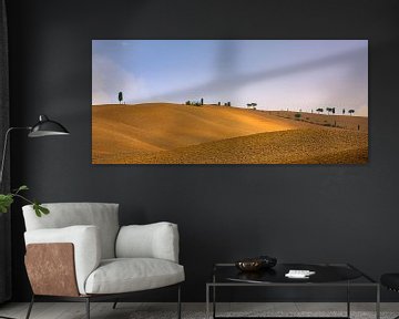 Cypress trees in the Crete Senesi in Tuscany by Henk Meijer Photography