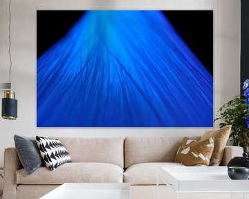 Lampes à fibres optiques de couleur bleue sur Sjoerd van der Wal Photographie
